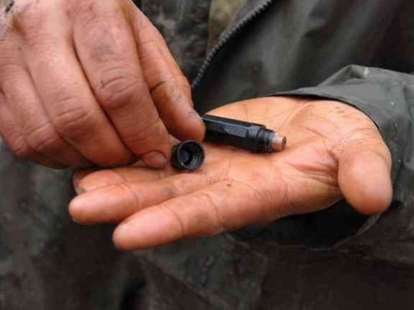 Поисковики из Новгородской области разыскивают родственник новохопёрского бойца