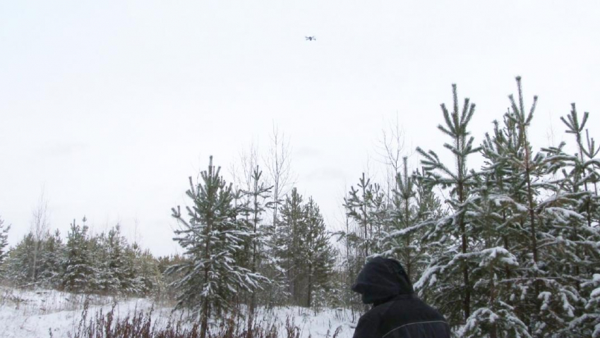  73 декабрьских  рейда проведут лесники и полицейские в лесах Борисоглебска 