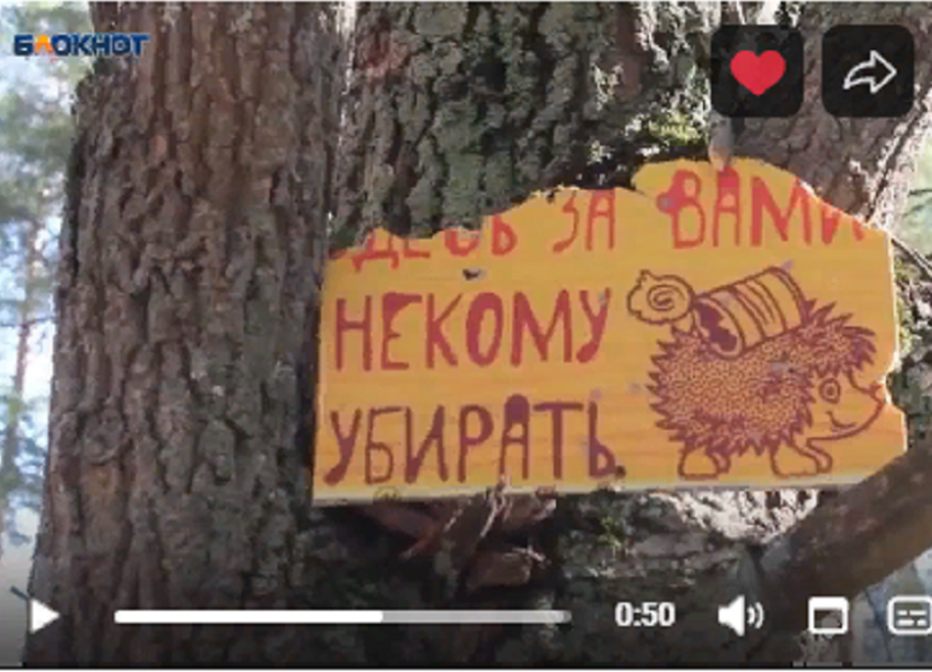 Новый видеосюжет мобкора «Блокнот Борисоглебск» - о весеннем мусоре и об ответственности