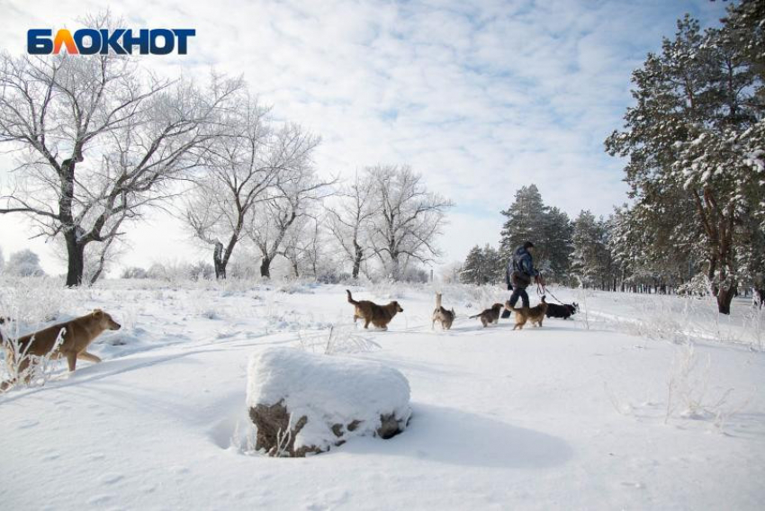 Влияние атмосферного фронта с юго-запада принесет в Воронежскую область снег и новые морозы