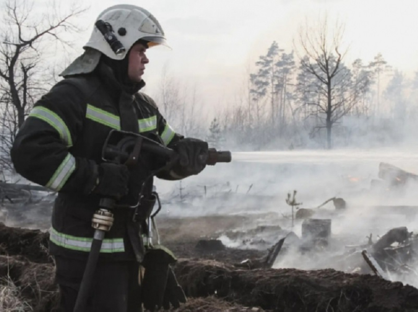 В 16 районах Воронежской области действует особый противопожарный режим