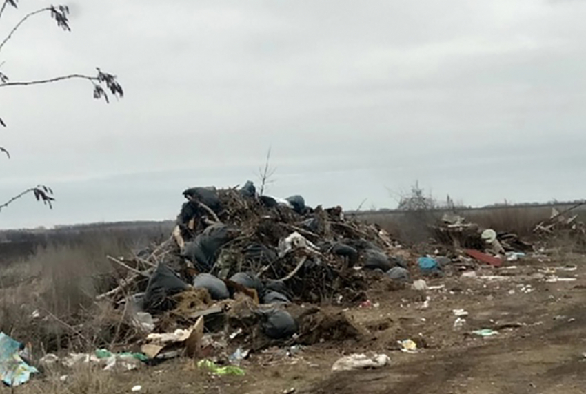 75 тонн мусора собрали на «родных берегах» жители Воронежской области, а в Борисоглебске царствует «мусорный барон"