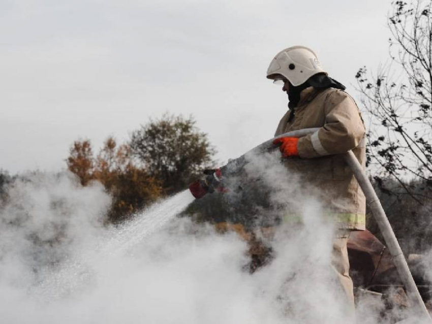 Страшные пожары в Воронежской области спрогнозировали на весну 2021 года