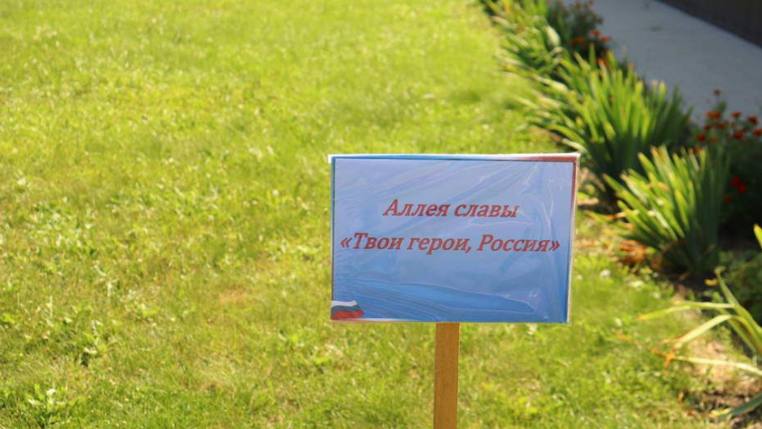В Грибановском районе появится аллея в честь участников СВО