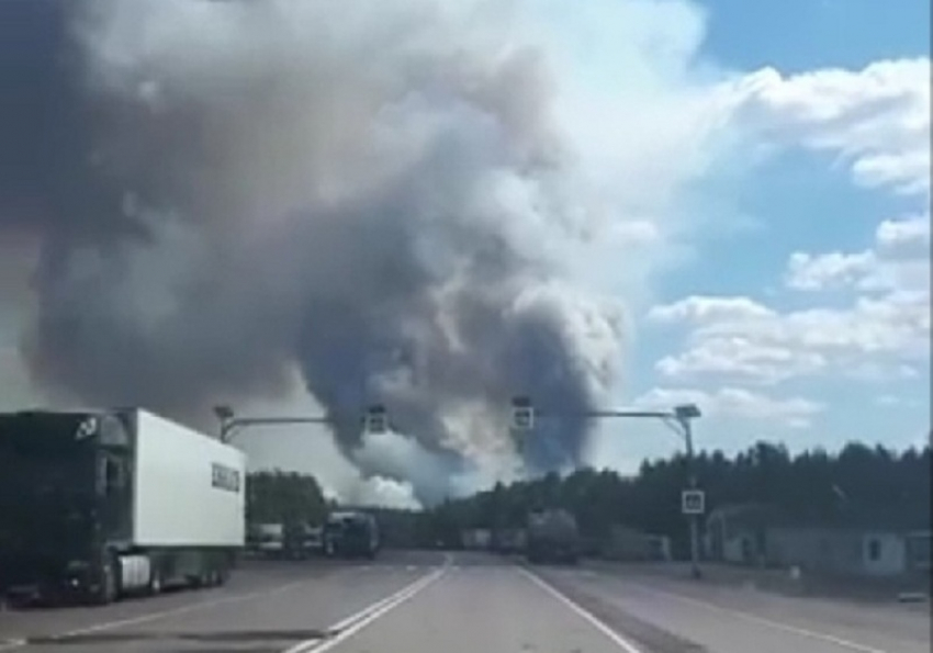 Около 5-ти га леса сгорело во время пожара под Борисоглебском