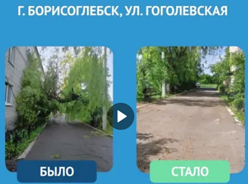В Борисоглебске коммунальщики попилили аварийное дерево и оставили его на тротуаре