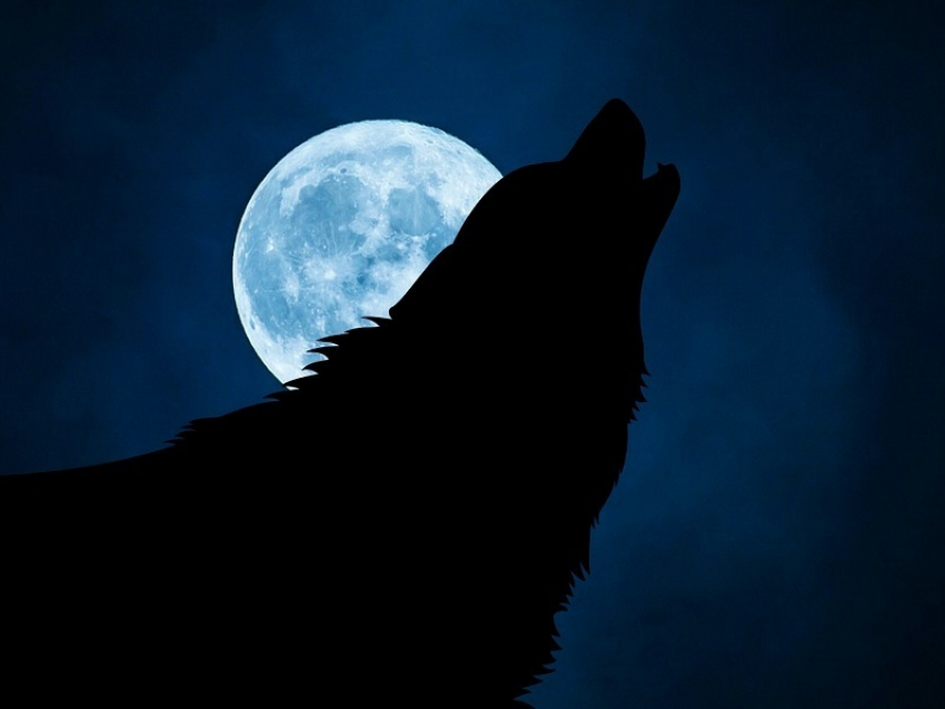 С какими таинственными существами сталкивались жители Воронежской области