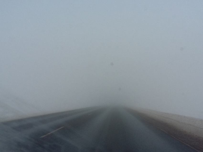 Желтый уровень опасности установился в Воронежской области из-за тумана