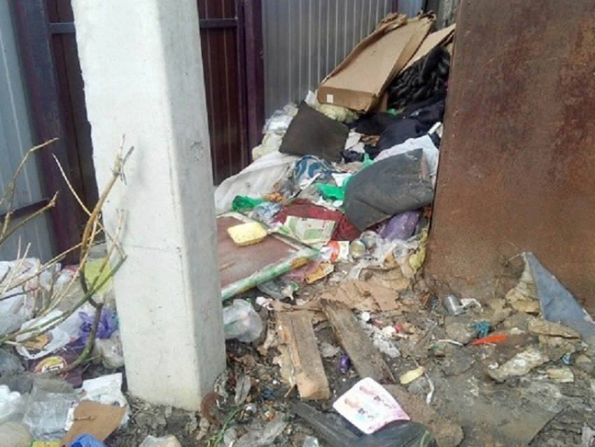 Пока суд да дело… дворы борисоглебских домов утопали в мусоре