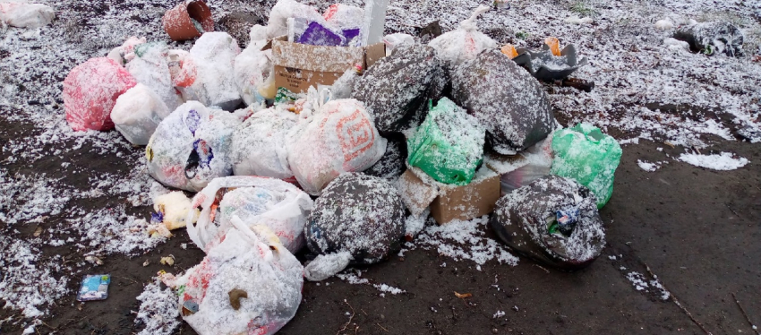 Жителям села под Борисоглебском  предложили  самостоятельно убрать последствия «мусорного апокалипсиса» 