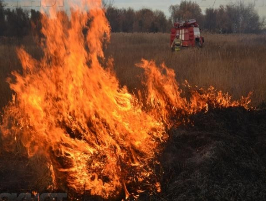 В Воронежской области за прошедшие сутки зарегистрировали 97 ландшафтных пожаров