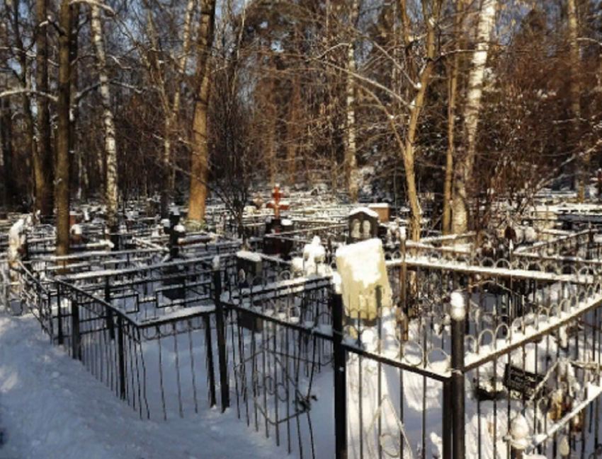 Ужасающую статистику роста смертности в Воронежской области показали на графике