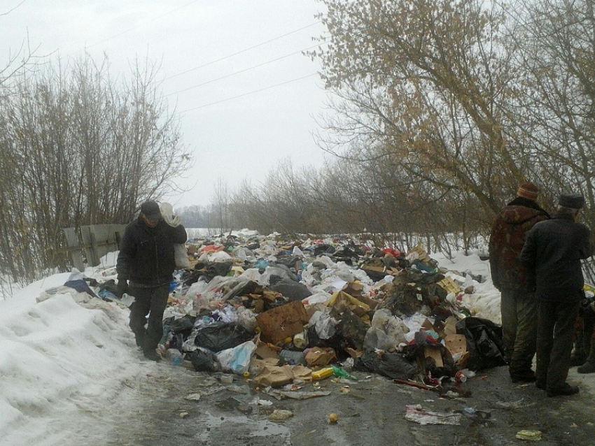 Мусорный апокалипсис в Грибановском районе запечатлел на фото наш читатель