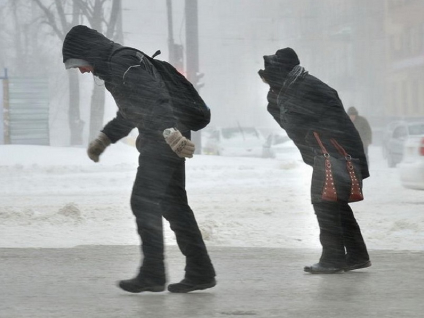 Об опасном ветре предупредили жителей Воронежской области спасатели