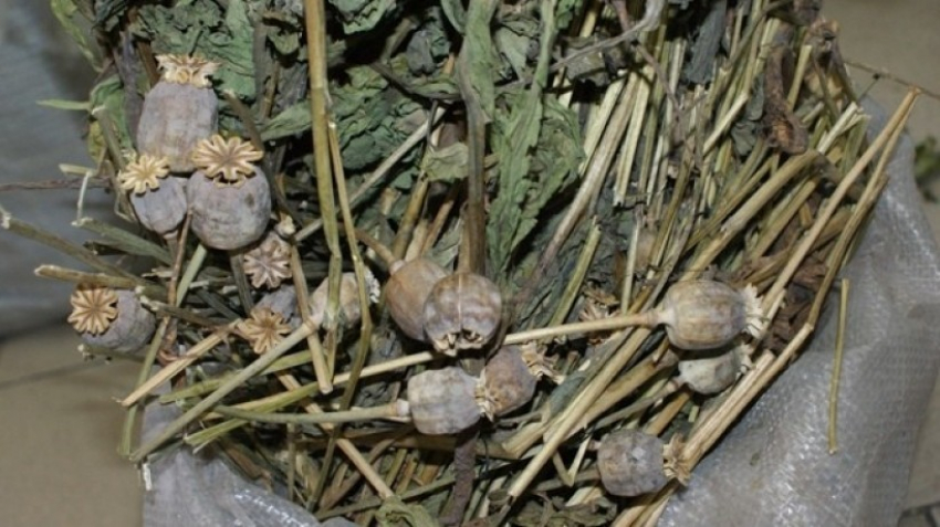 У жителя Новохоперского района при обыске нашли 50 граммов маковой соломки