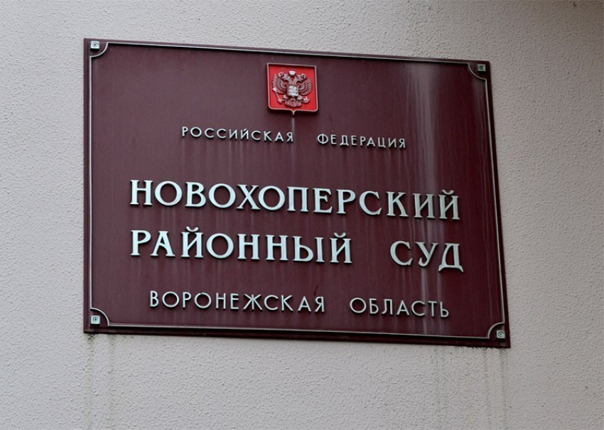 Несовершеннолетней маме вынесли приговор в Новохоперском суде