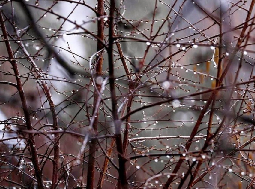 Хмурые и дождливые последние выходные октября ожидают борисоглебцев