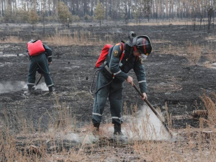 Спасатели потушили все крупные пожары в Воронежской области