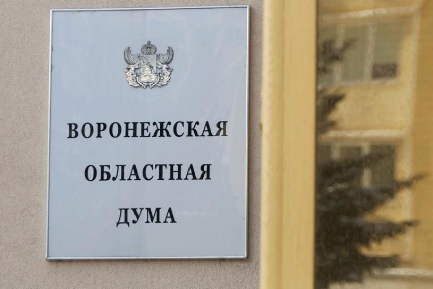 Дополнительные меры соцподдержки многодетных анонсировали в Воронежской области
