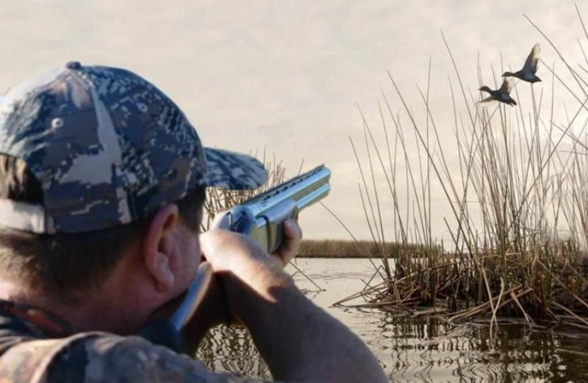 Уток в Воронежской области стало меньше: охотникам нечем похвастать