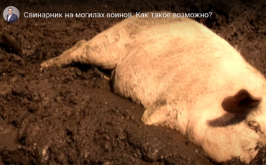 Экс-депутат Госдумы записал эмоциональное видео про «свиной навоз»  на могилах павших воинов в Воронежской области