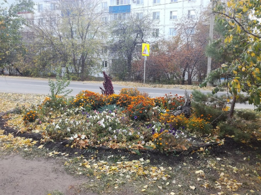 У Борисоглебской школы искусств №2 украли ограждение цветочной клумбы