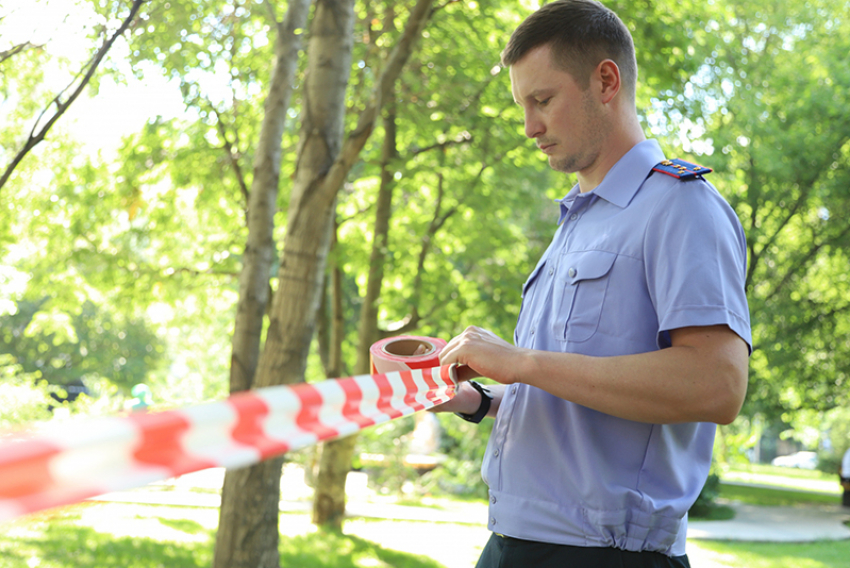 Глава СК РФ потребовал доклад о расследовании  убийства  младенца  в Воронежской области 