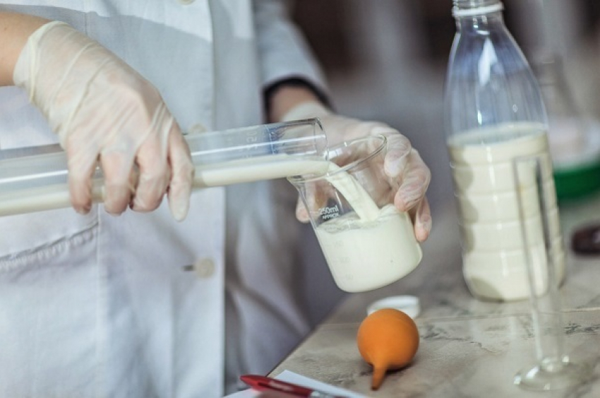 Воронежский «Роспотребнадзор» проверил качество молока в районах области
