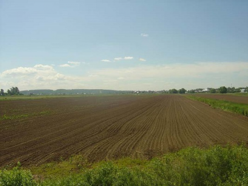 В Грибановском районе поставили точку в деле о земельном участке площадью 57,7 га