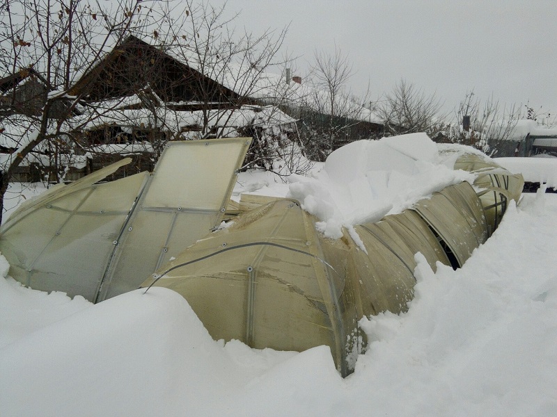 теплица 2.jpg теплица 2.jpg