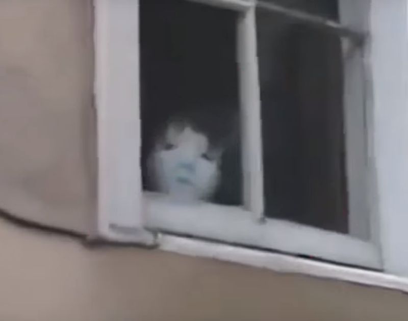 domovoy.jpg domovoy.jpg