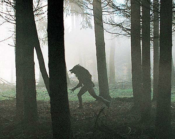 oboroten.jpg oboroten.jpg