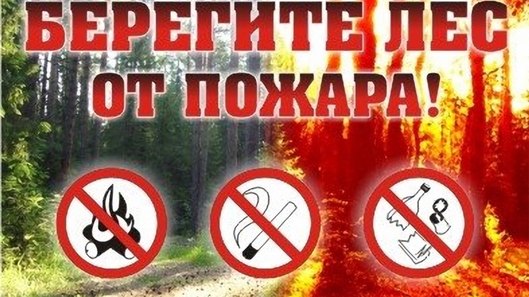 берегите лес.jpg