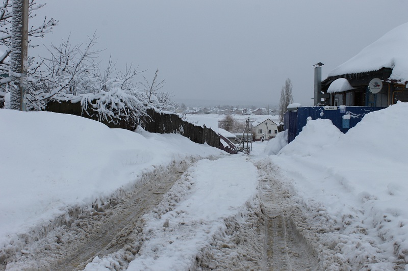 снег 3.jpg