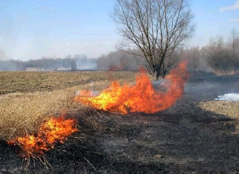 пожар.jpg пожар.jpg