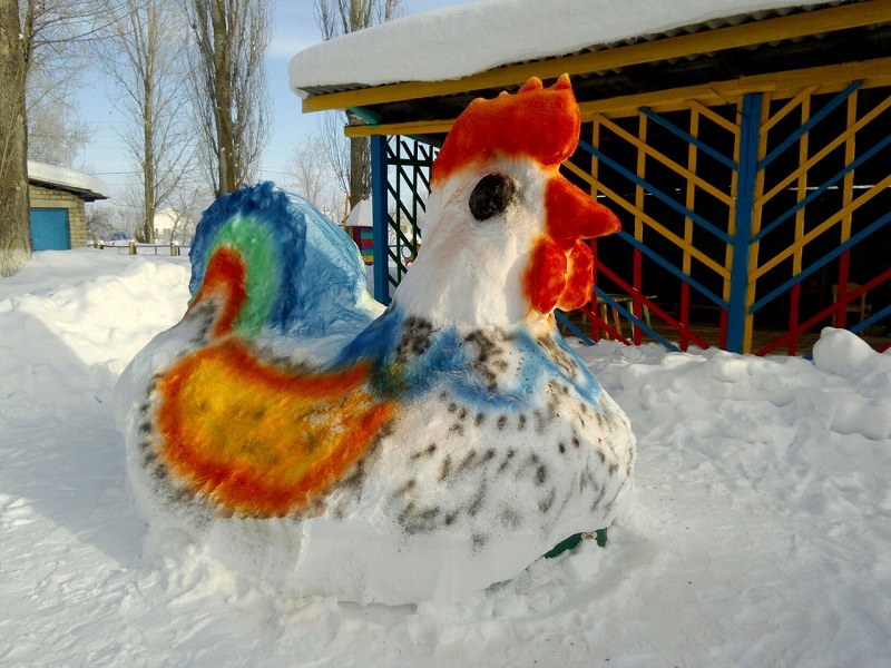 20.jpg